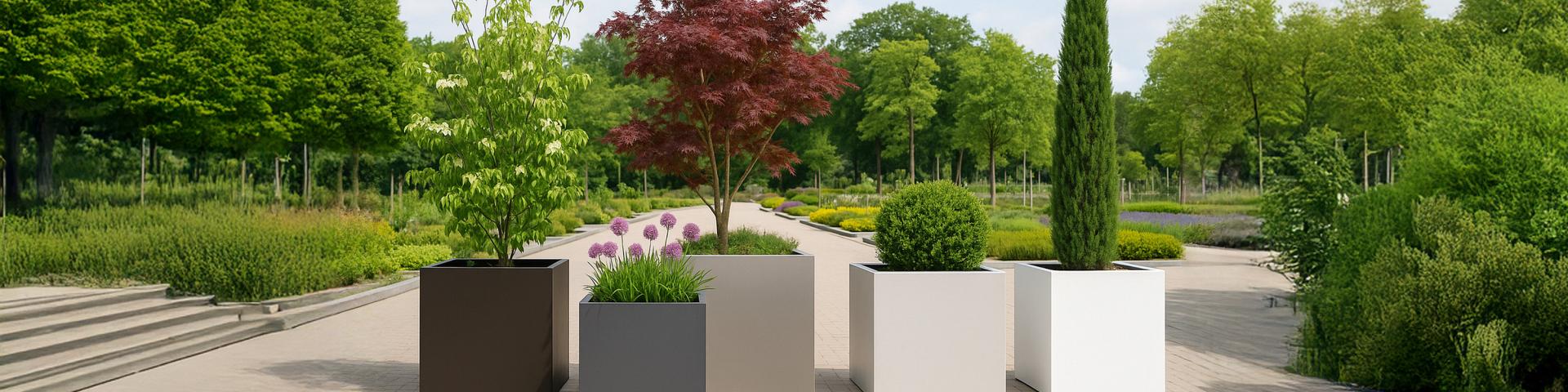 forsento homepage header