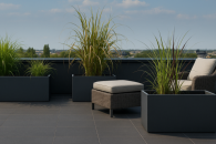 Tuinieren zonder tuin