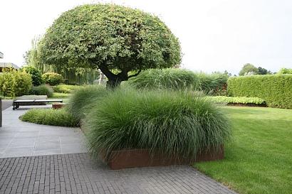 Borderpaneel Flex 56 cm + toebehoren - 220x56x3.5 cm (LxHxB) Corten