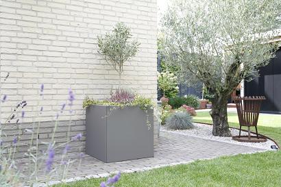 Plantenbak Vlak Taupe 180x30x60 cm