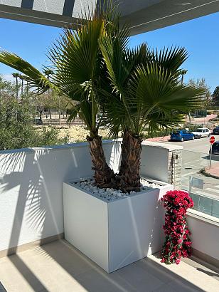 Plantenbak Vlak Wit 120x120x60 cm