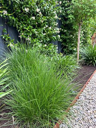 Kantopsluiting Double 300x10 cm Corten