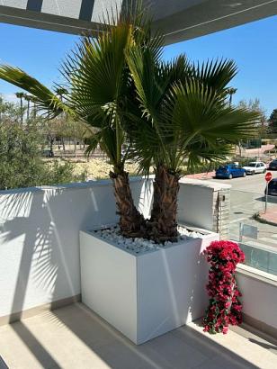 Plantenbak Vlak Wit 60x30x80 cm